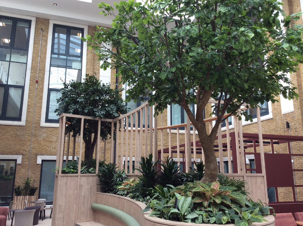 1.Looking toward the treehouse LR