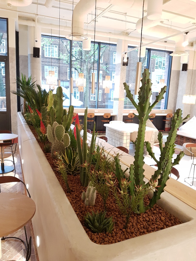 1. Co working joinery planter