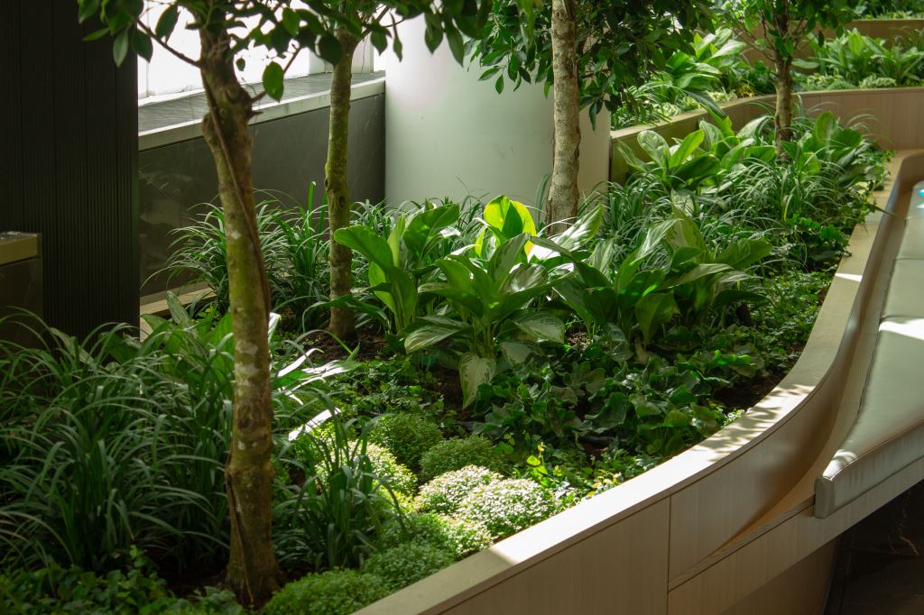 2. Deloitte.RECEPTION LUSH UNDERPLANTING Copy18895