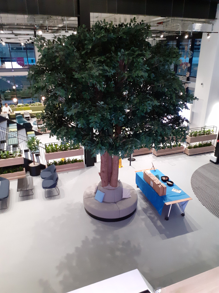 20.Oak tree complete LR