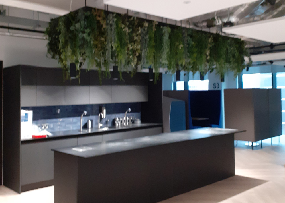 27. Hydration points LR