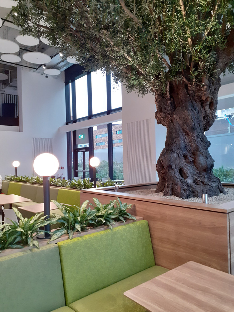 30. Oive trunk close up LR