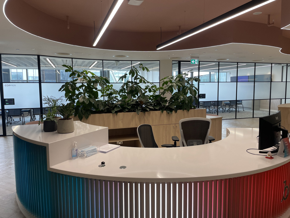 A Braze Reception LR