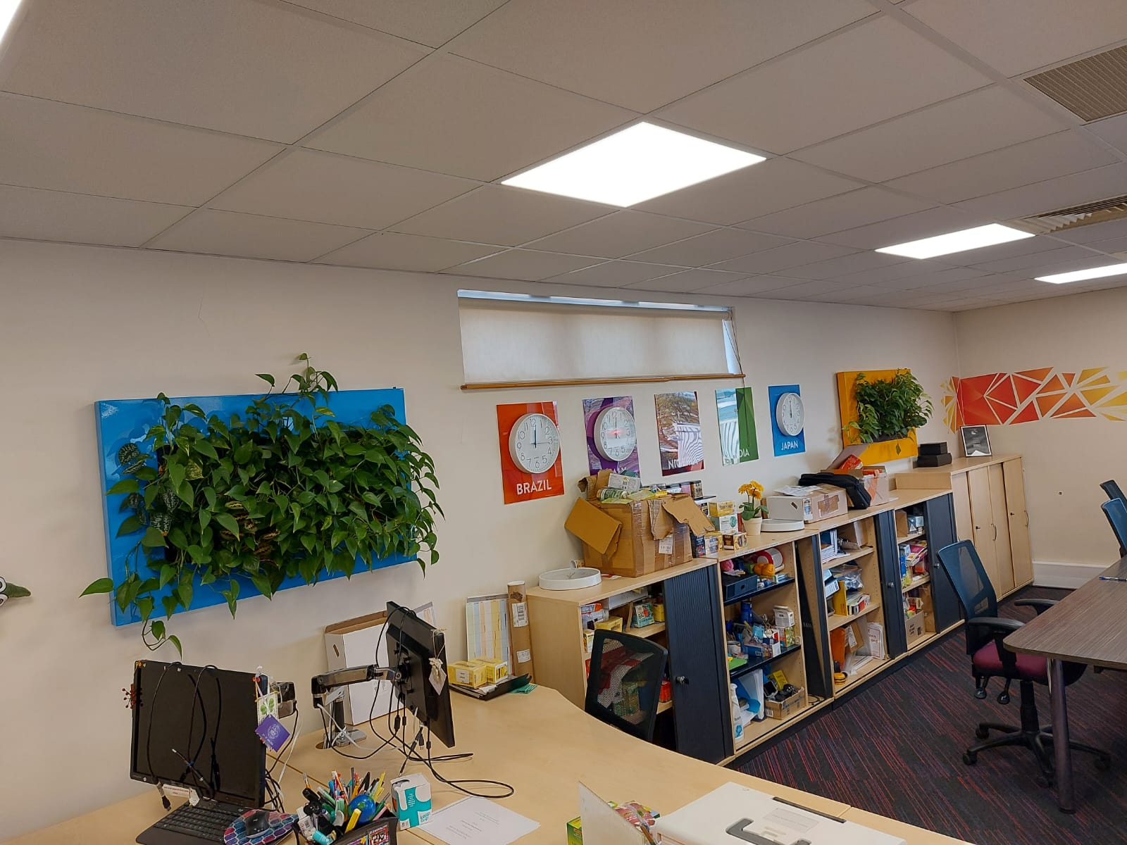 A fantastic showcase of thriving wall planting displays