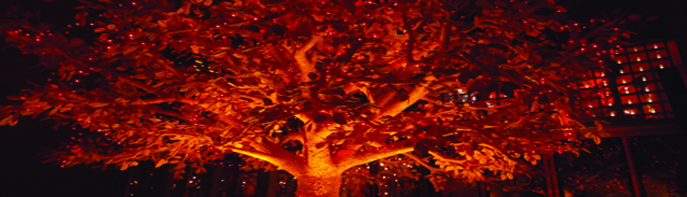 Artificial plants banner