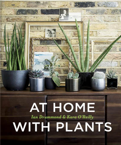 At Home with plants