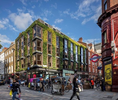 Biotecture 15 year green wall