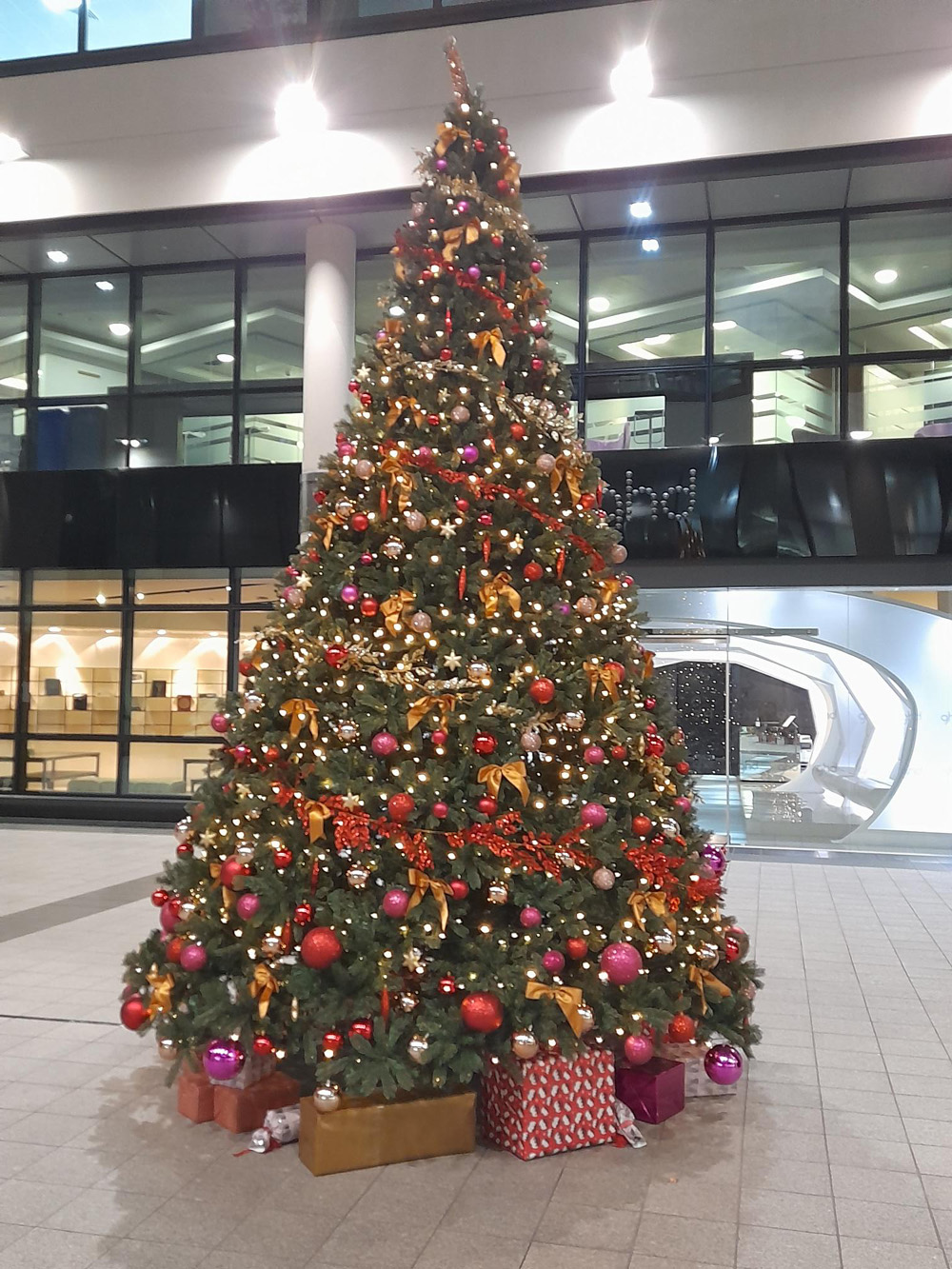 Bridgewater 15ft 2022 LR