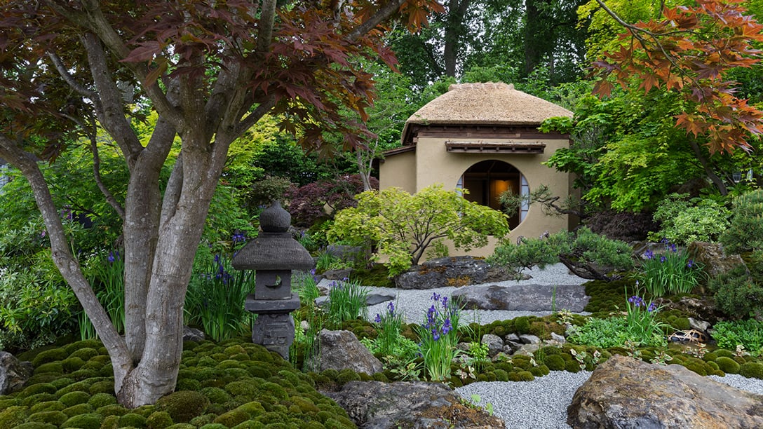 Chelsea2025 H8A0007 May 18 2025