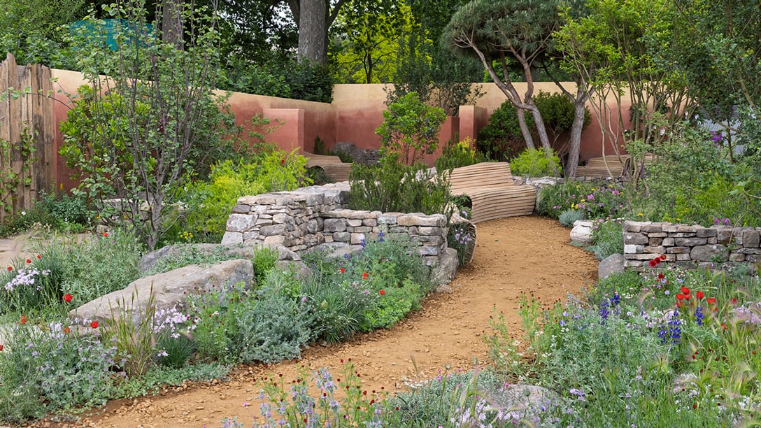 Chelsea2025 H8A0140 May 18 2025