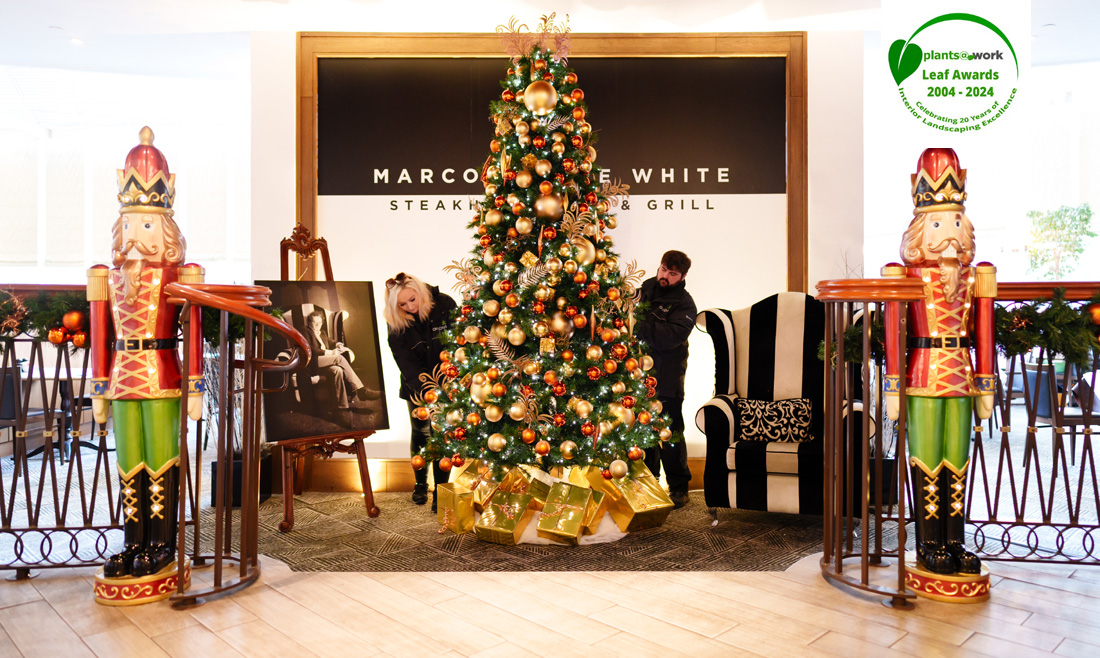 Doorway soldiers Logo. LR copy