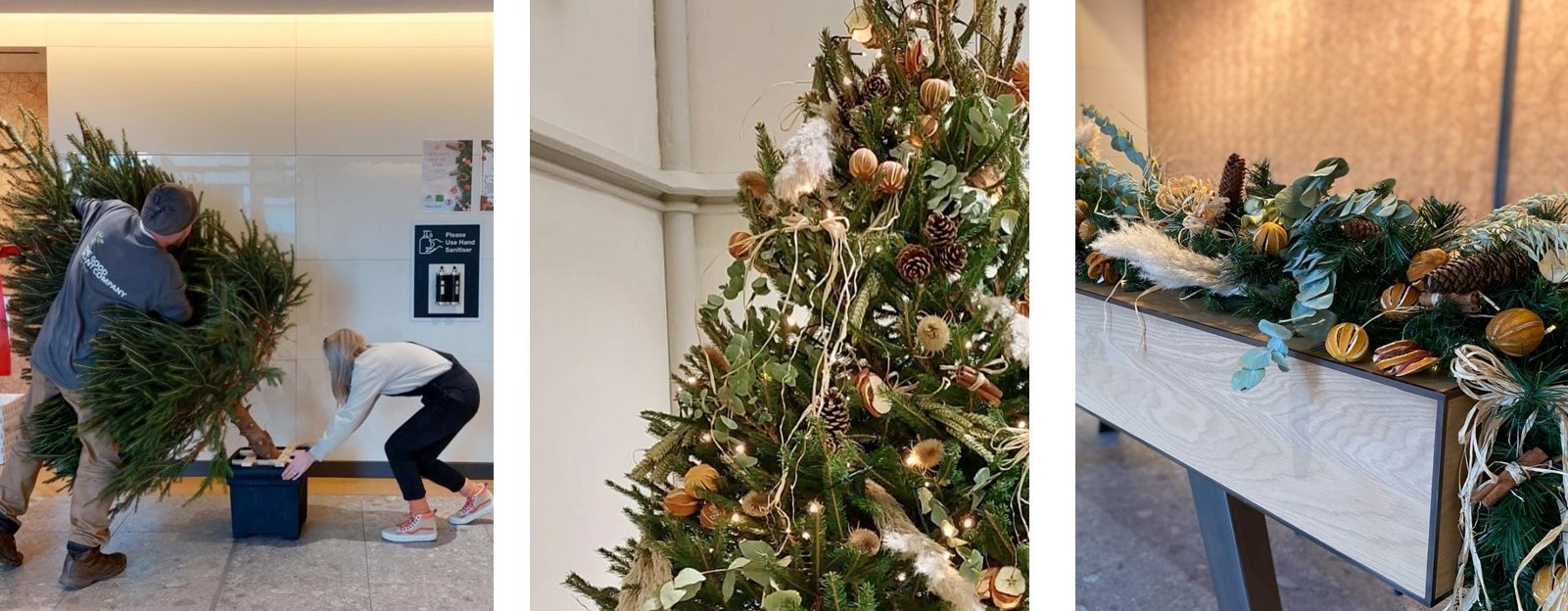 Elves The Good Plant Co