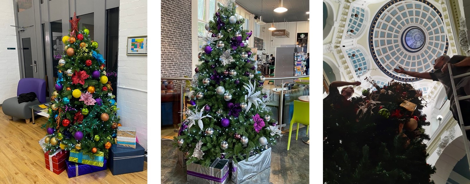 Elves UP North Various trees