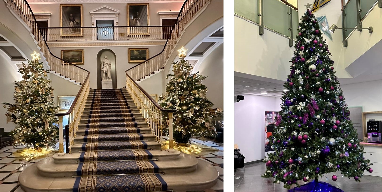 Elves simply plants 2