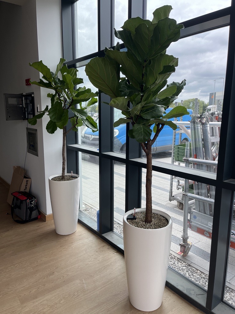 Getinge interior plants