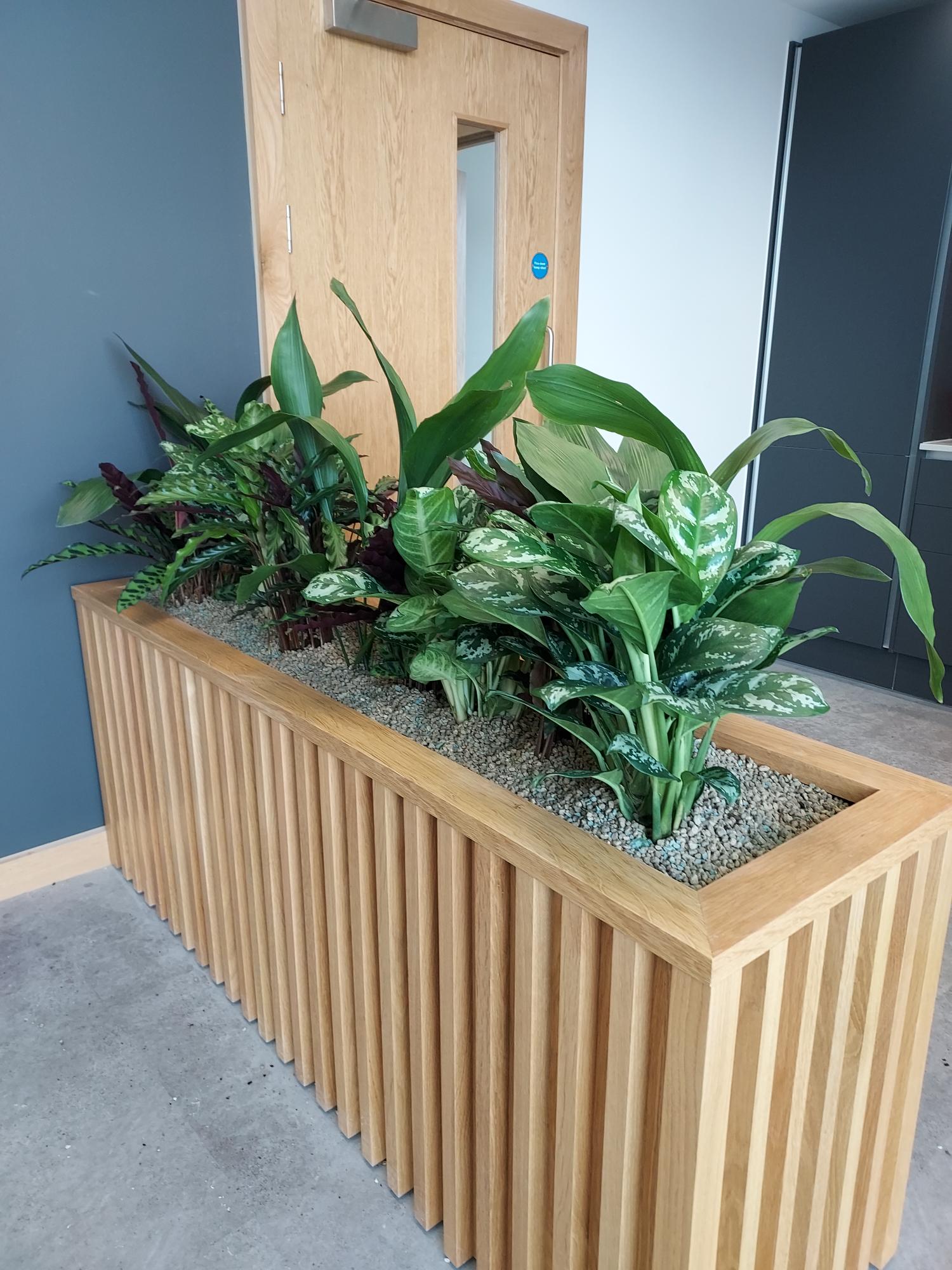 Getinge wooden containers