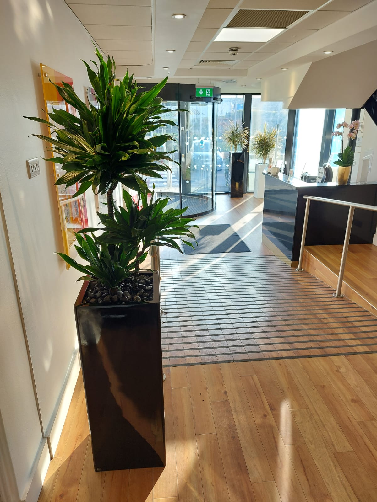 Height and texture to compliment the reception