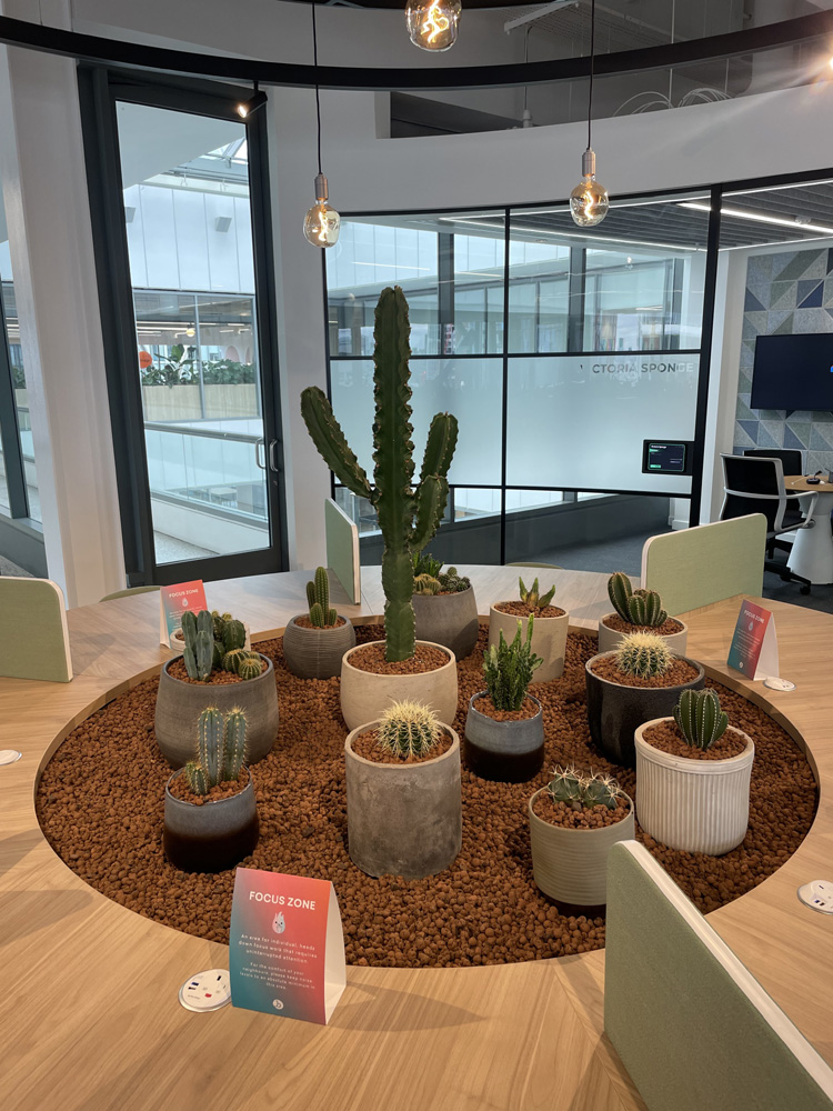 1. Braze Cactus Garden LR