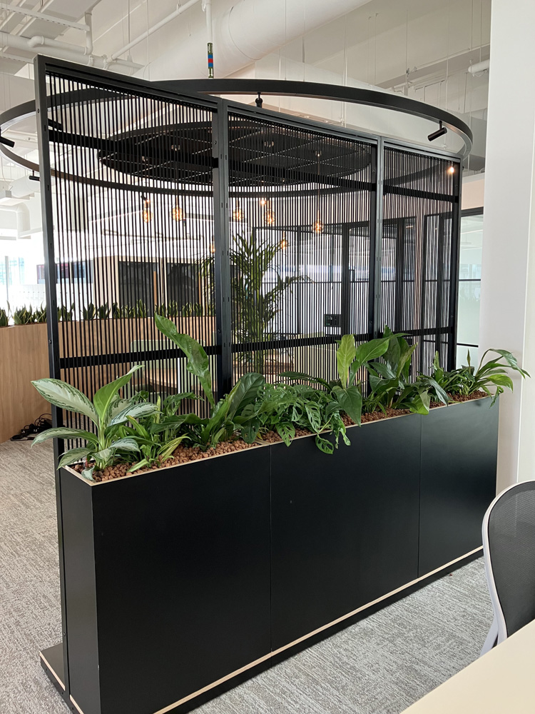 4. Braze Cage Planters LR
