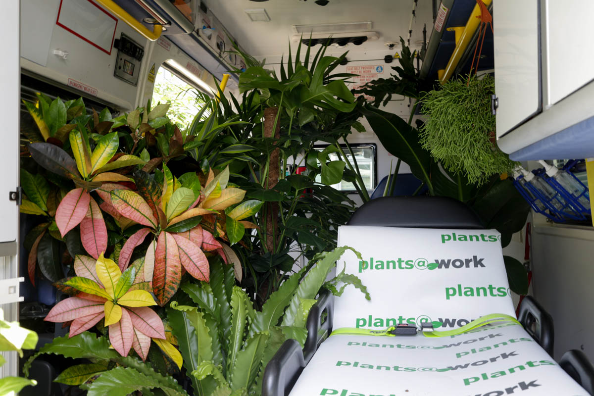 Inside the ambulance LR