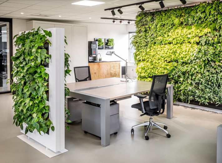 Interior walls and screens GTI