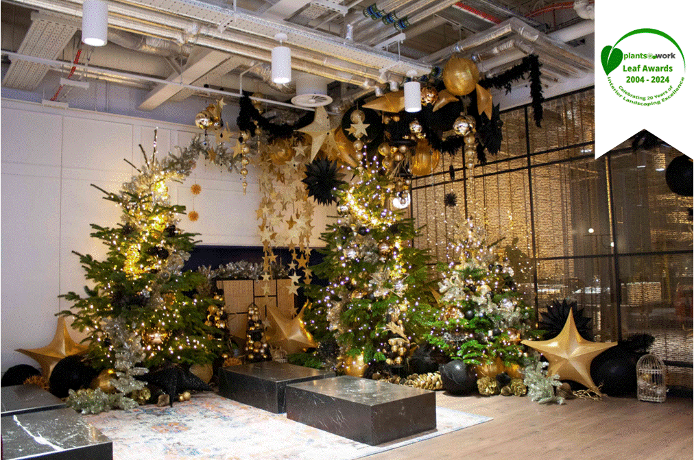 1. McCann 2022 Xmas Live Group1