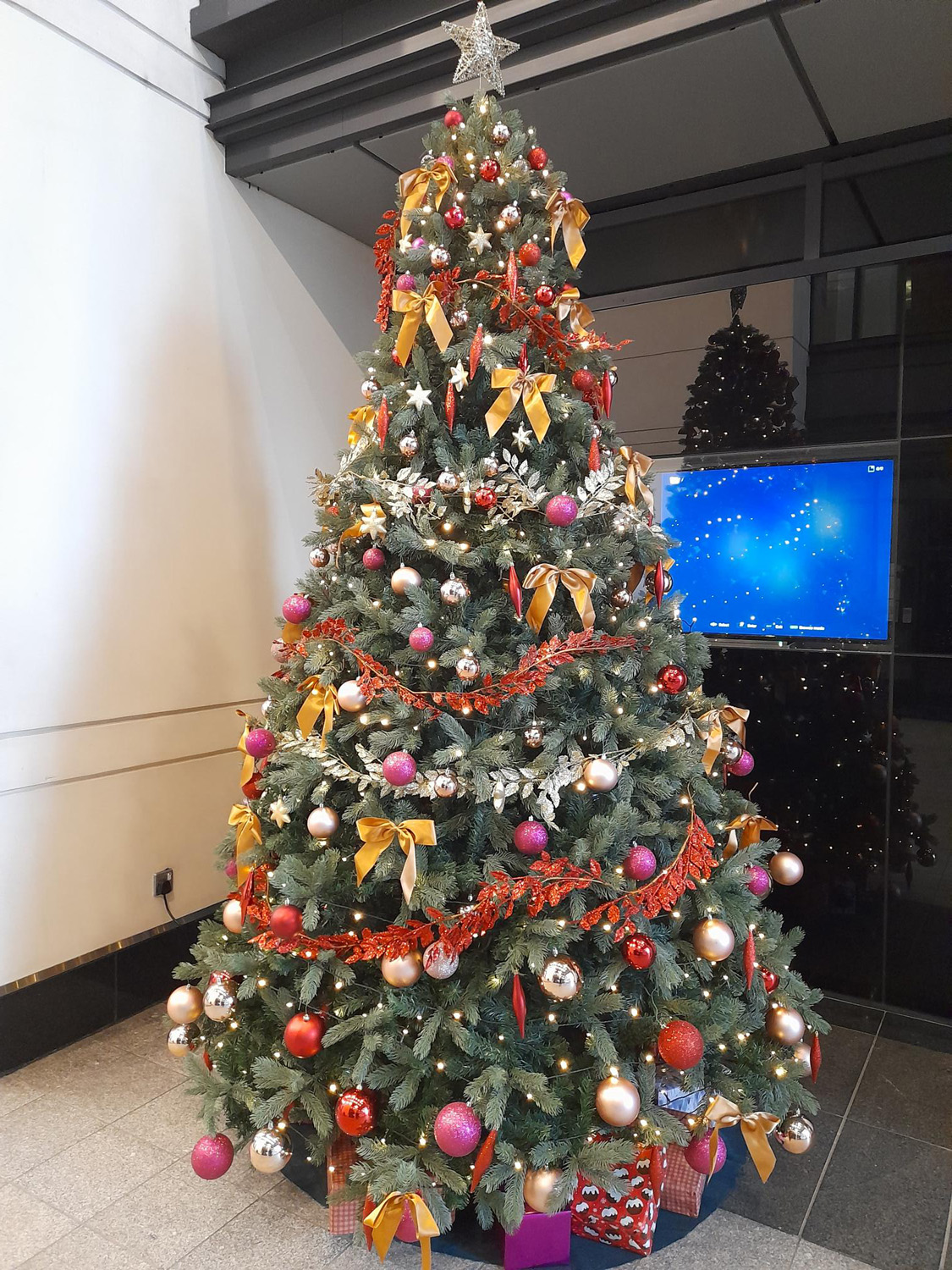 Mightie tree 1