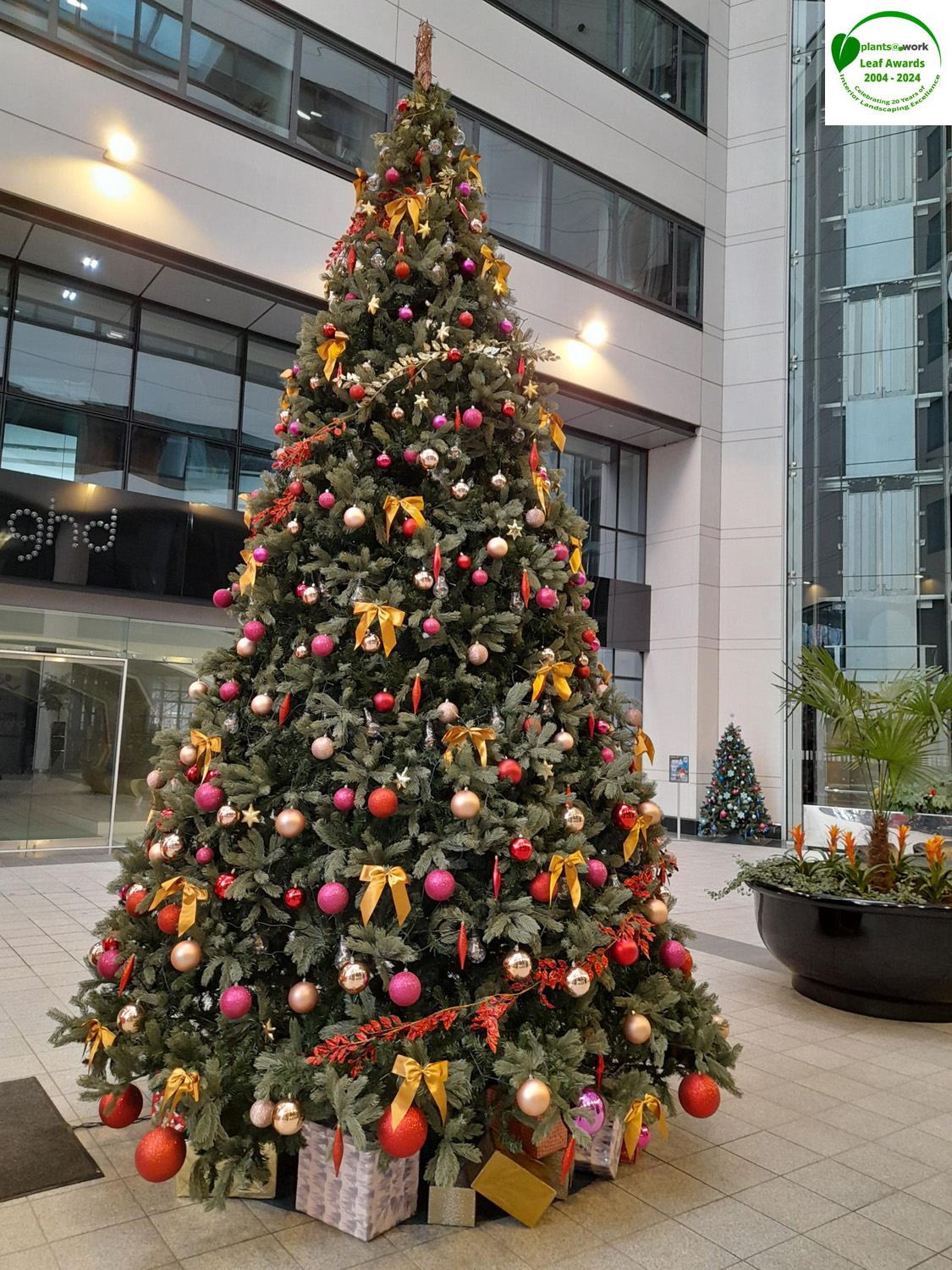 Mitie tree 2 plus logo