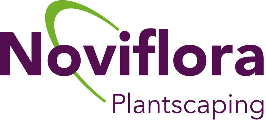 Noviflora
