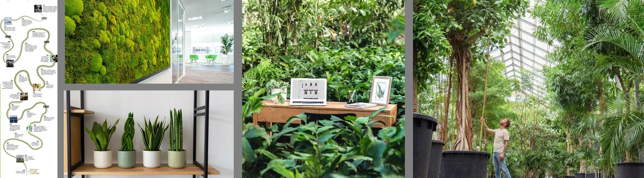 Noviflora banner2024