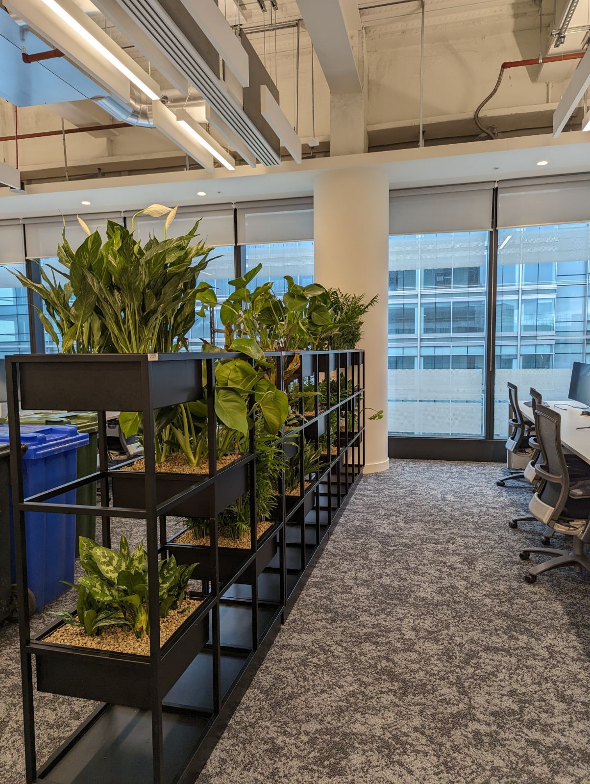 Picture 10 Long Row of Built in Squares