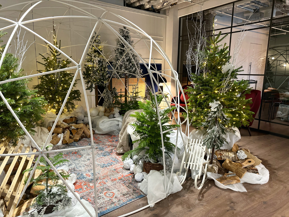 Picture 10 McCann Igloo Reception View LR