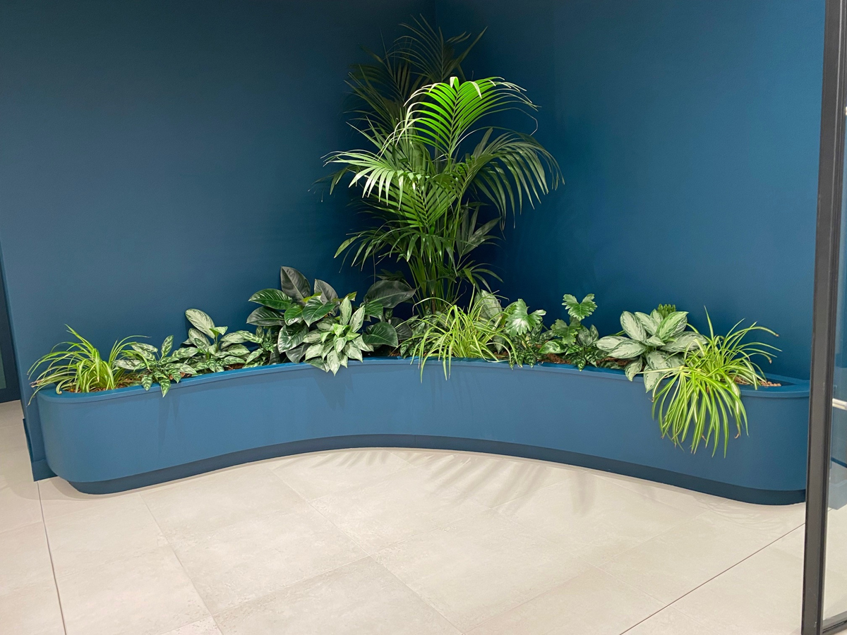 Picture 1 BCG Curved Built in Planter lr