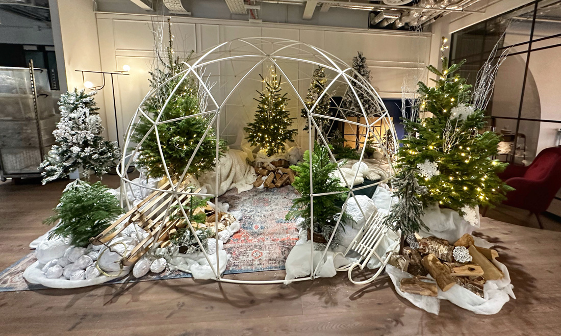 Picture 1 McCann Igoo In Reception crop LR