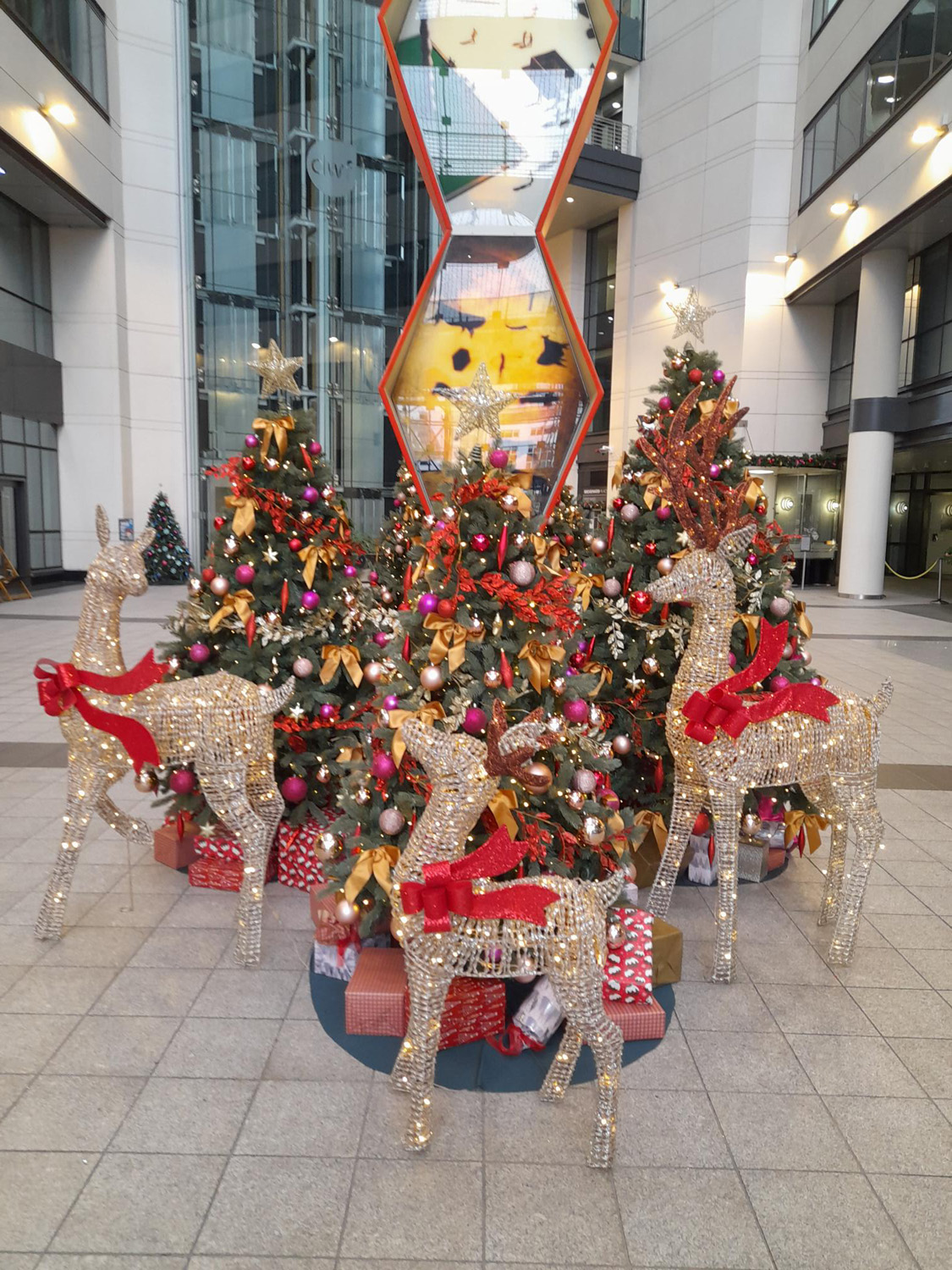 Reindeer