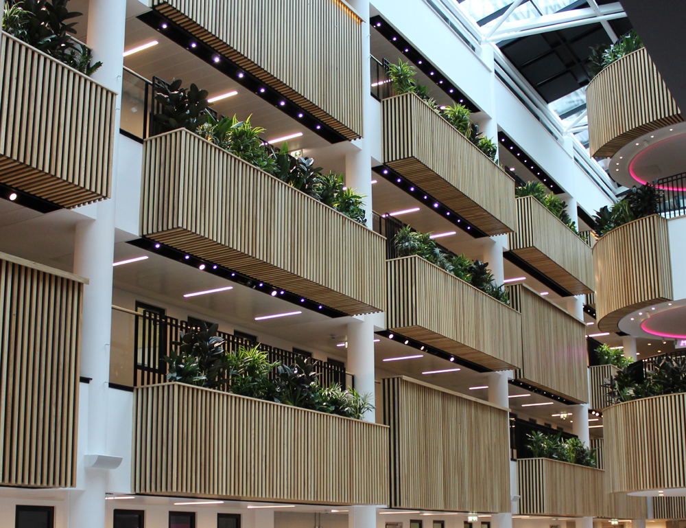 Sheffield Hallam 6 LR