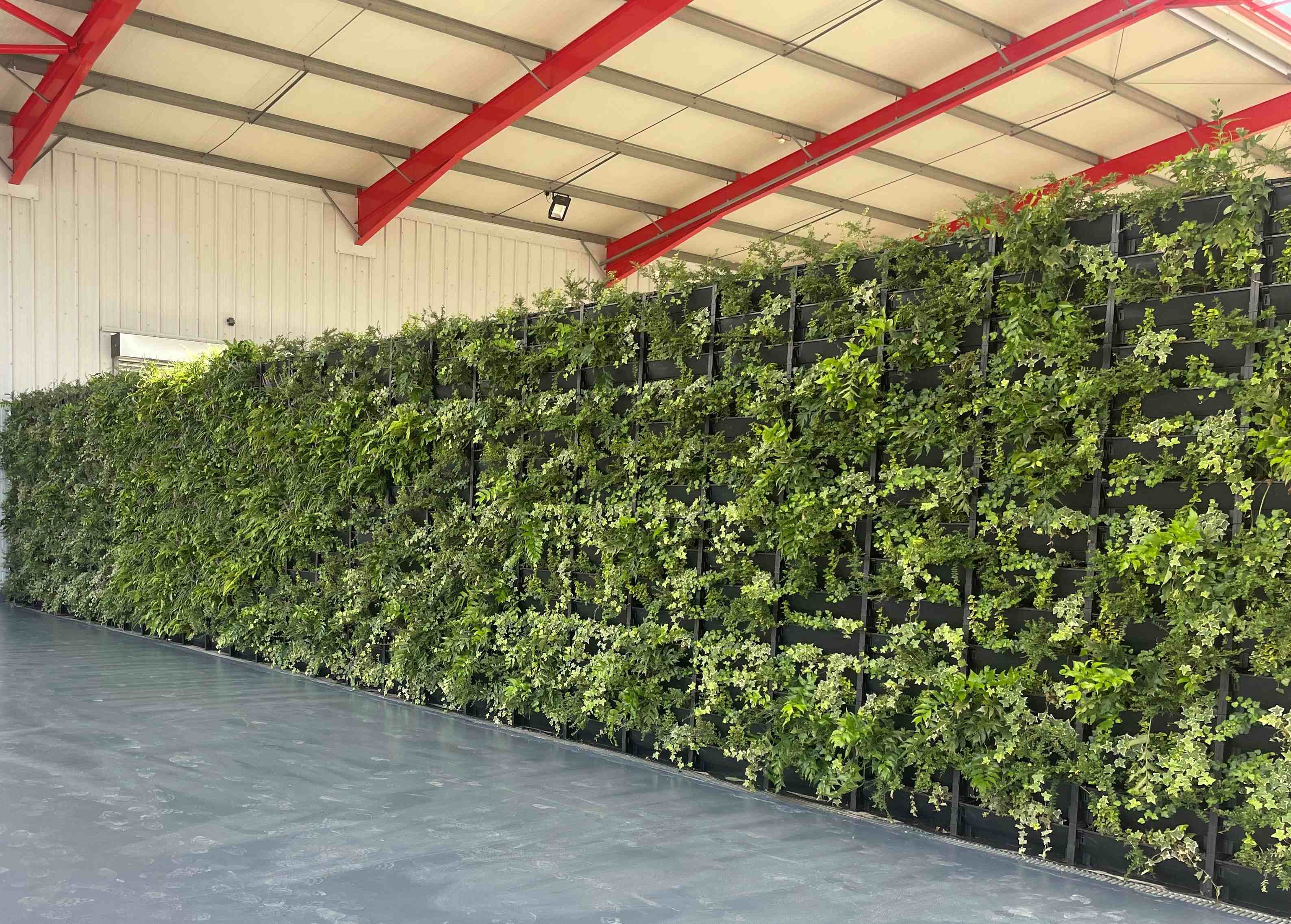 Speedy External Wall after 1 week 10