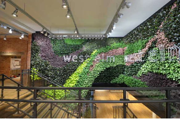 UP SW at West Elms 3