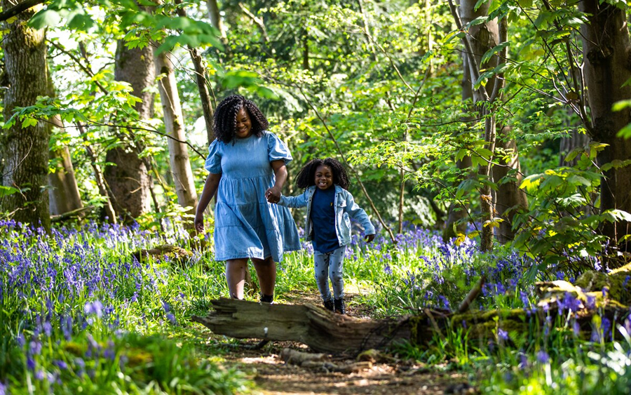 Walking in the forest