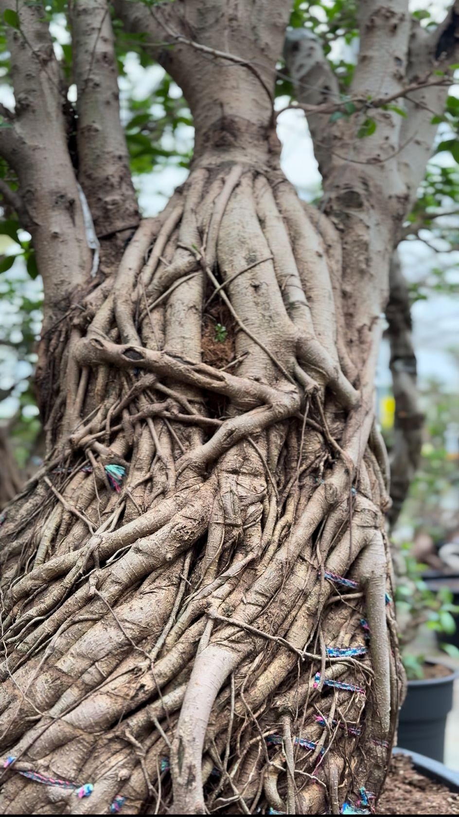 WhatsApp Image 2025 03 03 at 16.55.09