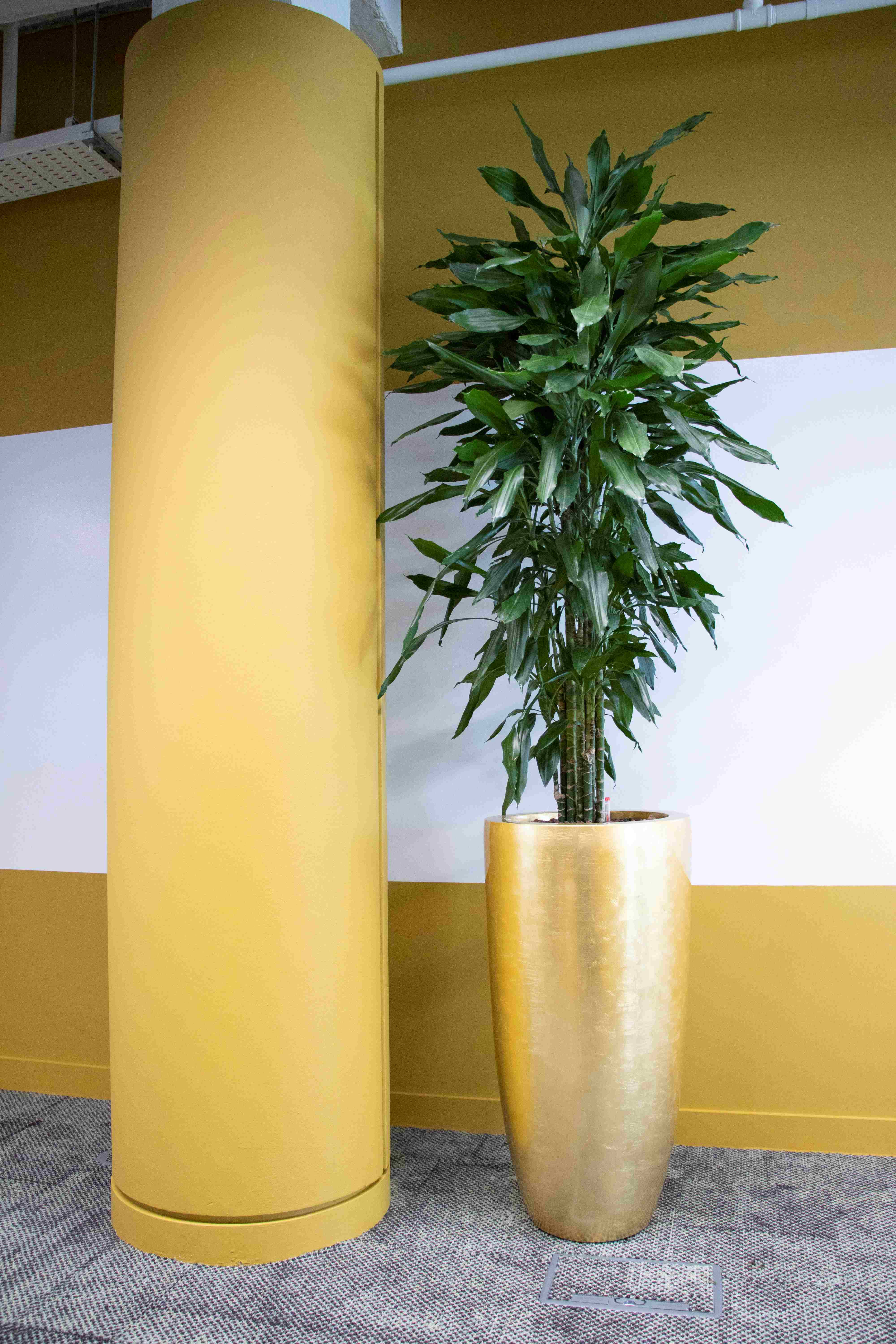 Photo 13 Music Brass Planters lr