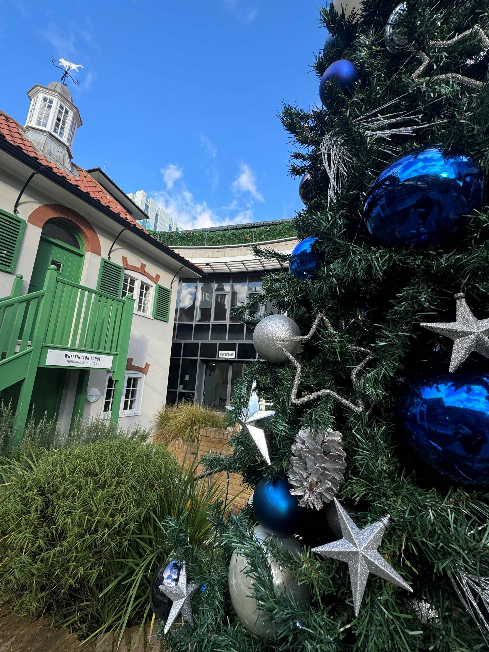 Battersea Christmas close up 4