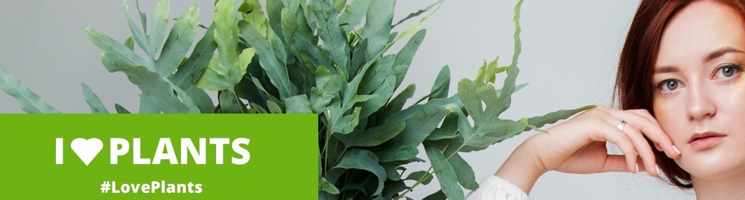 lovePlants banner1