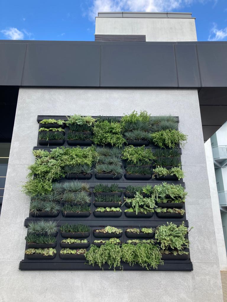 lush greenery to fill the customers existing living wall
