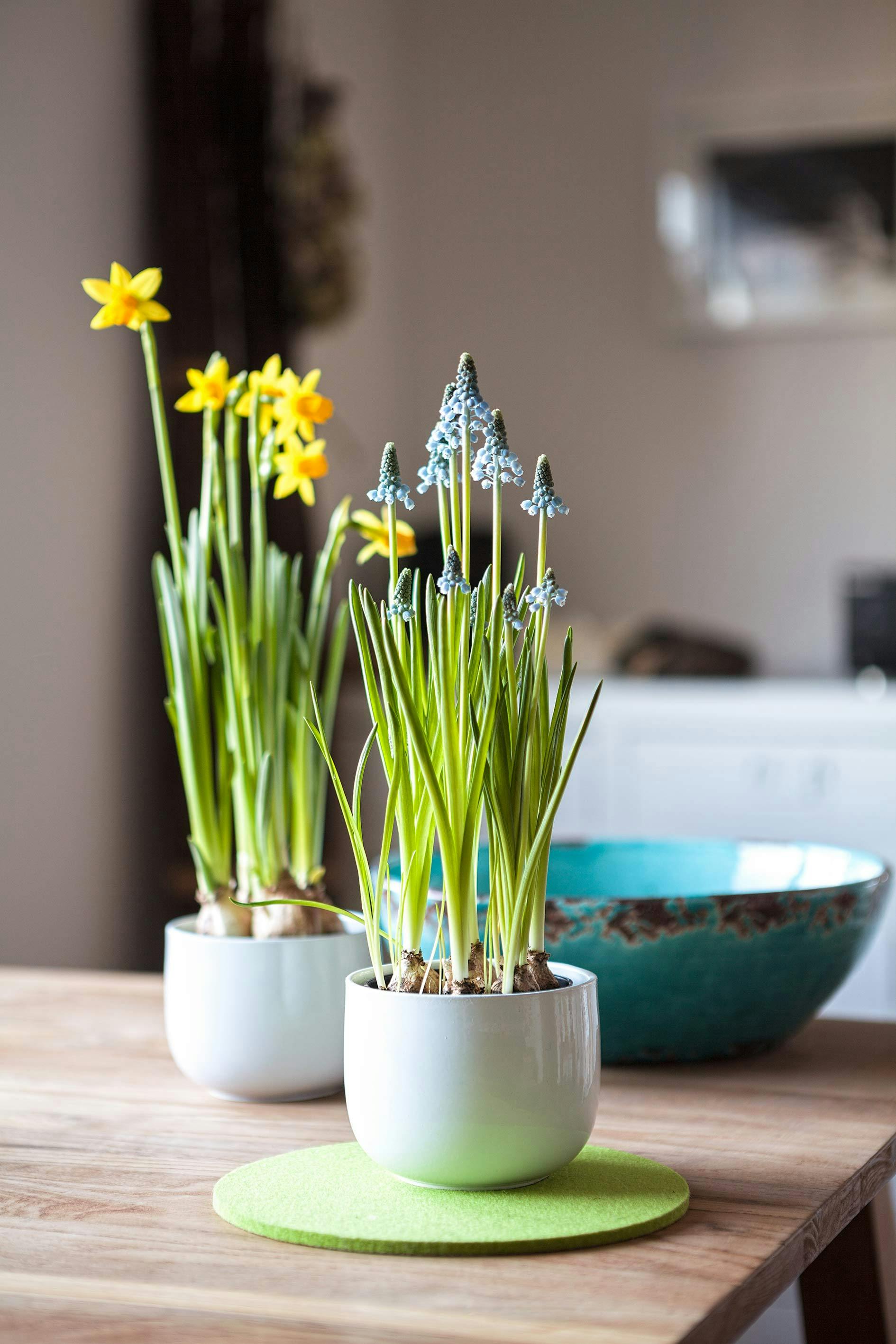 pexels alexander schimpf 726343 1824189