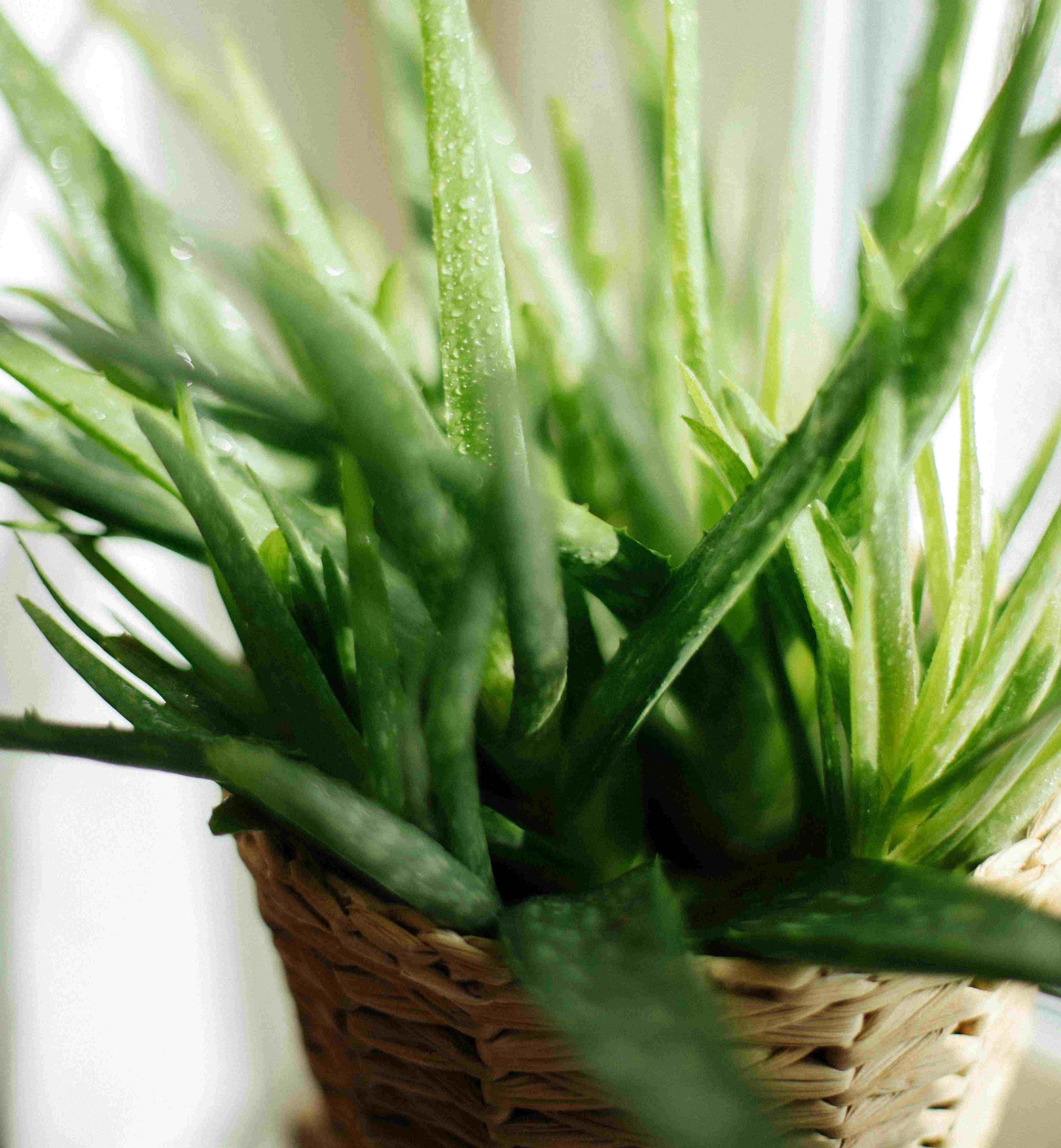 pexels lidia bekenova 33840995 7408838