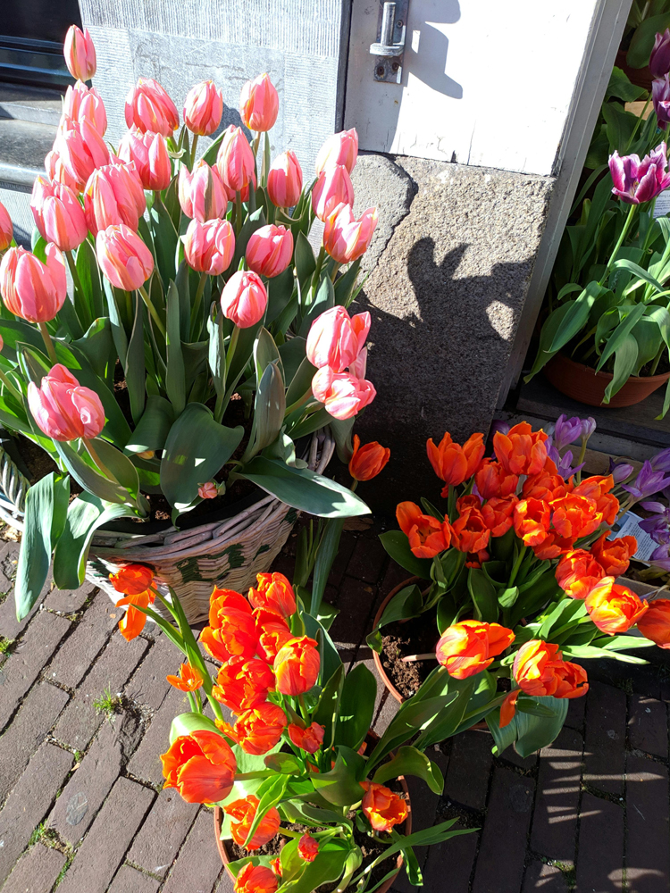 pexels wagner rech 3519083 6152721 lr