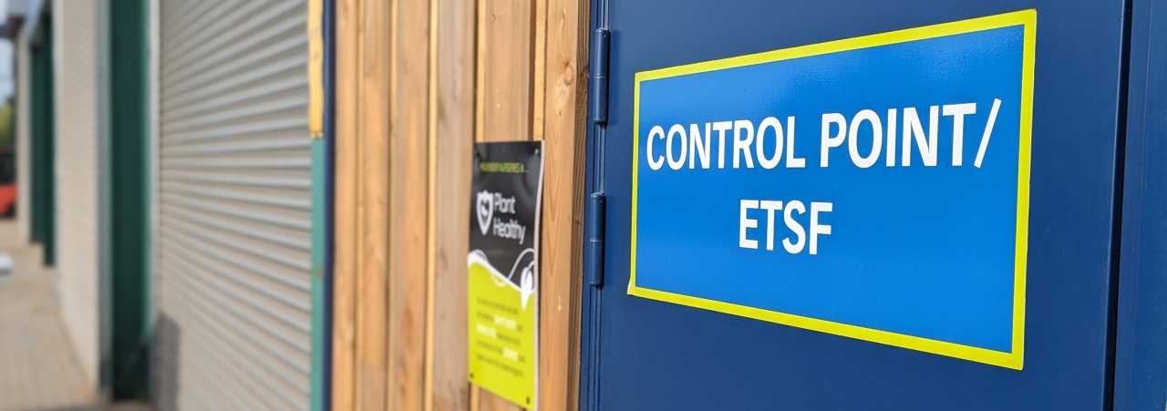 pxl 20240613 062609678 portrait crop 4032x1422 667ea026161fe