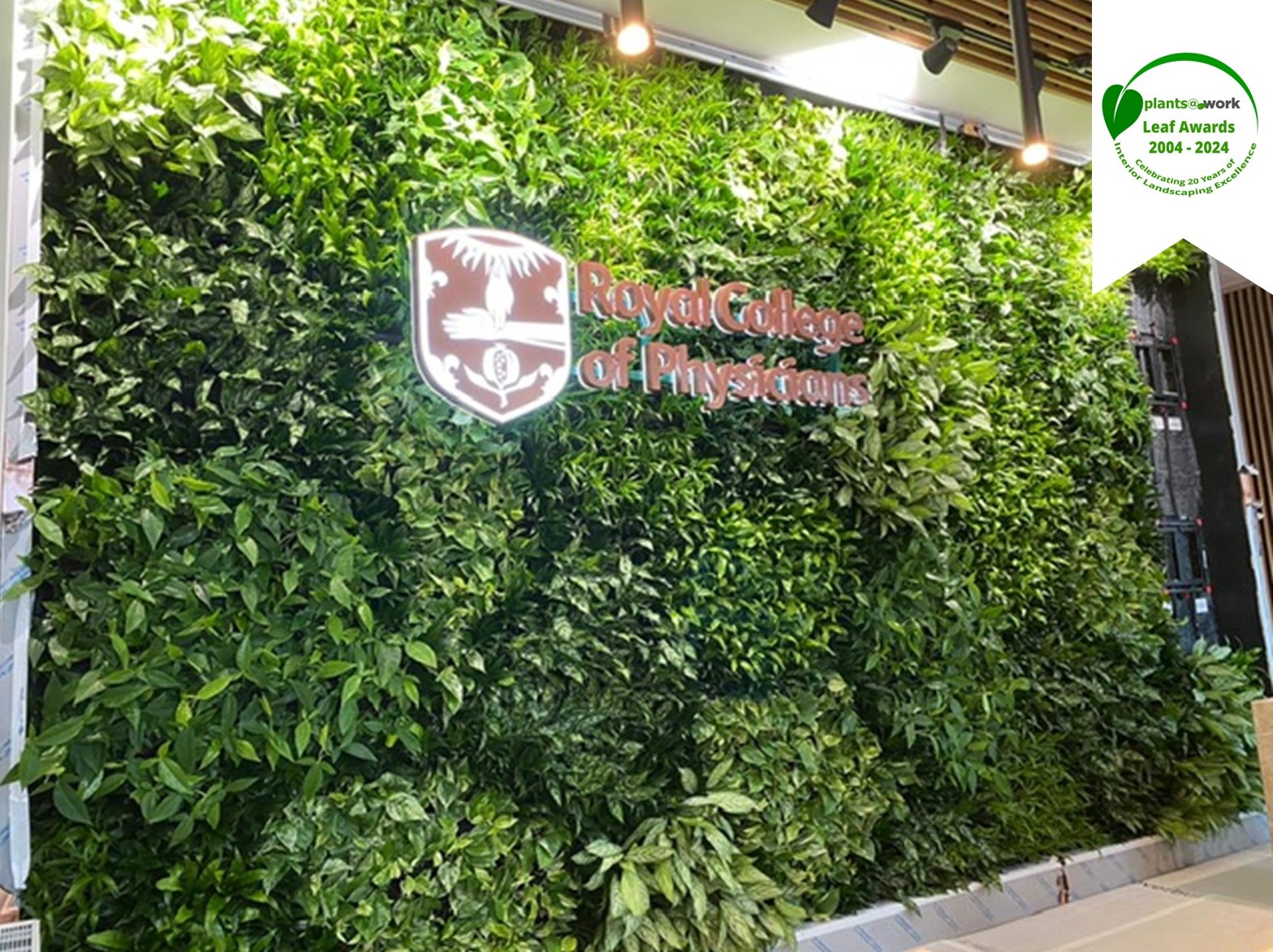 royal collage with logo