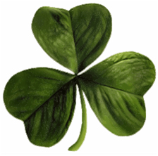 shamrock courtesy Wikipedia
